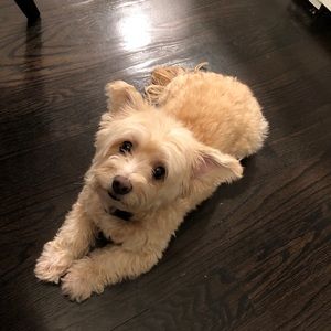 Meet your Posher, Zack